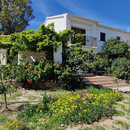 Cortijo Nerja Artist Paradise Exteriör bild