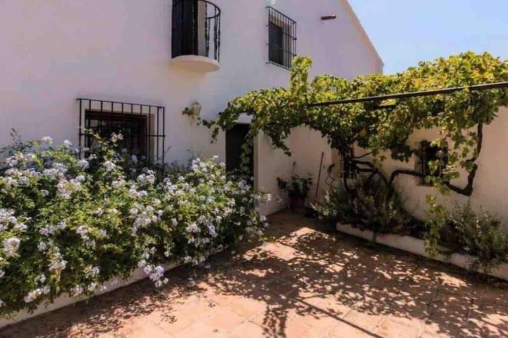 Cortijo Nerja Artist Paradise Exteriör bild