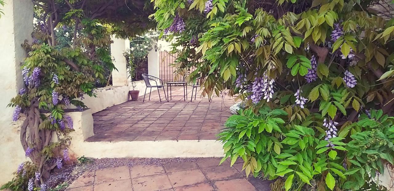 Cortijo Nerja Artist Paradise Exteriör bild