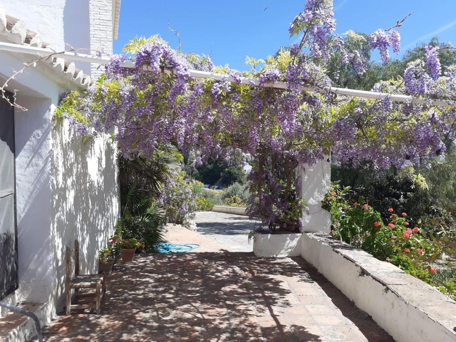 Cortijo Nerja Artist Paradise Exteriör bild