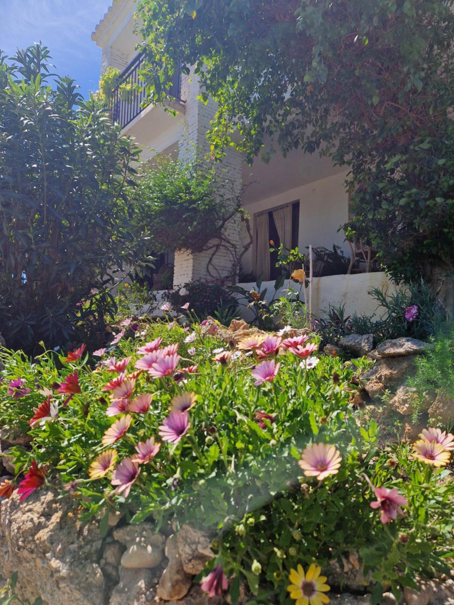 Cortijo Nerja Artist Paradise Exteriör bild