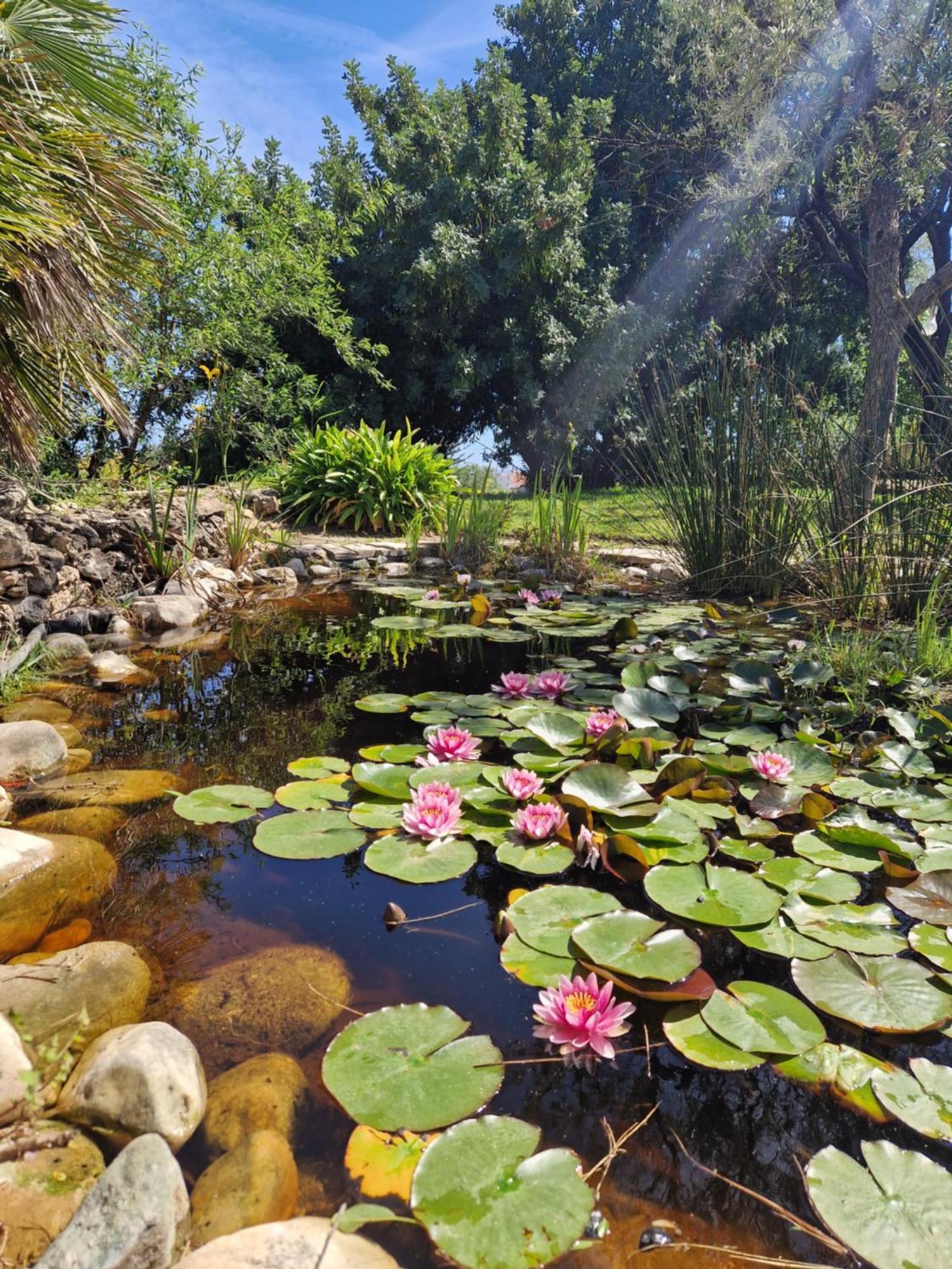 Cortijo Nerja Artist Paradise Exteriör bild